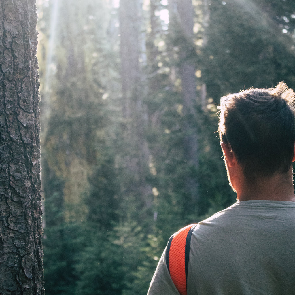 Stressed out? Let’s try forest bathing!